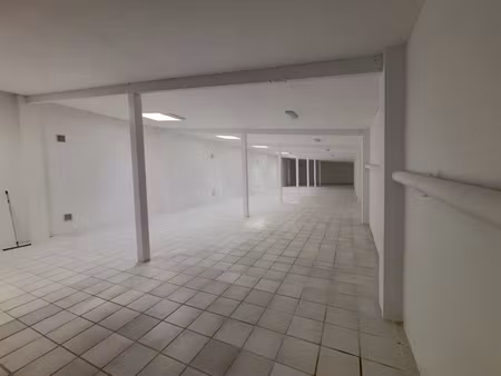 immeuble professionnel avec vitrine et atelier 350 m2