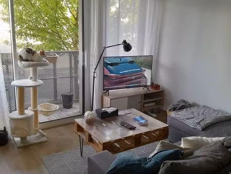 location appartement t2