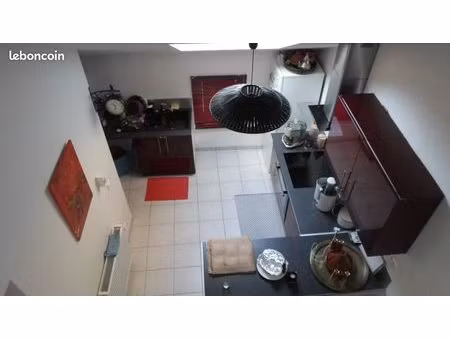 duplex 1 pièce 57 m²