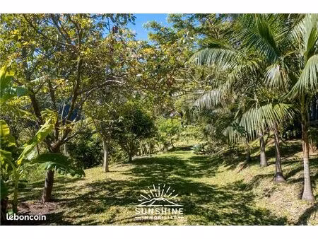 exclusivité – terrain arboré avec vue océan à sainte‑marie | sunshine immobilier