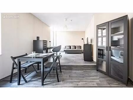 grand studio meublé (avec lave-linge) en centre-ville