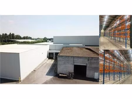 surface industrielle à louer à wijngaardveld 16 alost (rbv78162)