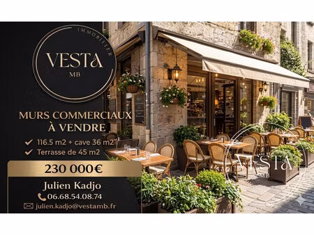 murs commerciaux de 116 5 m 2 (terrasse  cave  parking) - secteu