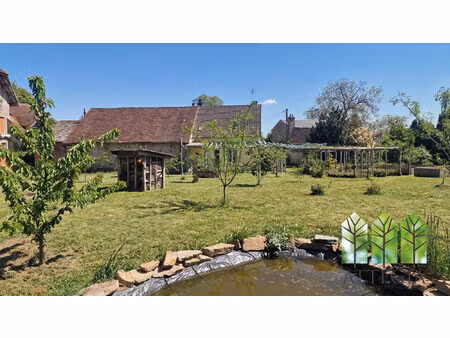 maison rénovée avec dépendences et grand terrain