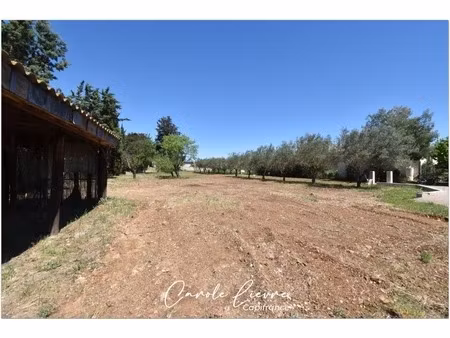 terrain constructible 659 m²