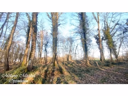 terrain à vendre de 3640 m² sylvains les moulins (27)