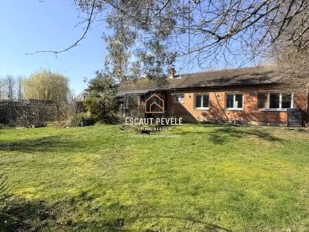 maison plain-pied à vendre  7 pièces - nivelle 59230