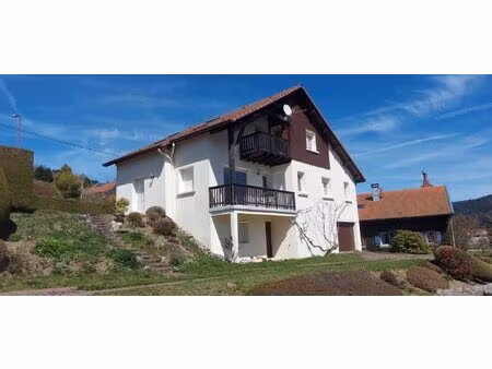 gérardmer - maison plein-sud sur les hauteurs