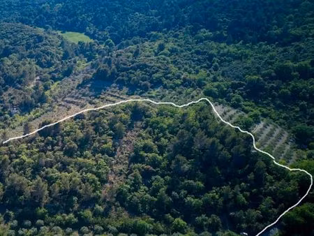 colline vu sur le mont ventoux
