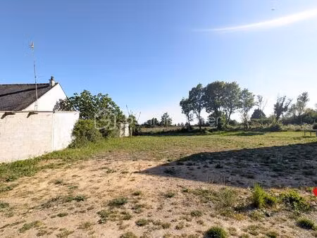 terrain de 4 031 m² à ambon