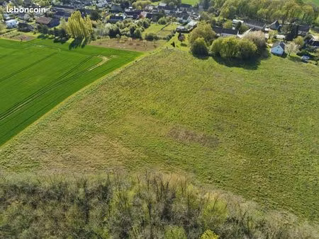 terrain agricole loisir pré chevaux animaux