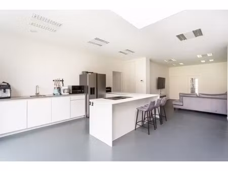 ruime gerenoveerde woning in hartje essen