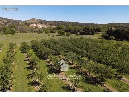 terrain agricole 4 825 m² rodes