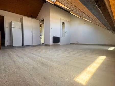 ◊ grenoble – grand studio 40m2 au sol  lumineux avec kitchenette équipée