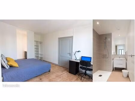 meublé étudiant/maison avec jardin/centre ville/salle d'eau privée