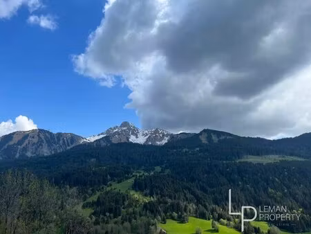 a saisir  terrain à abondance !