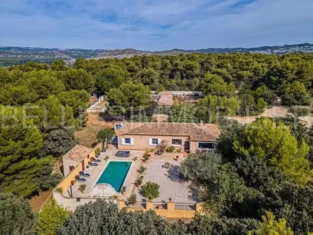 maison de luxe à vendre à aureille : 990 000 € | 180m²