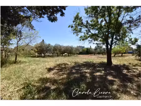 terrain à vendre usclas d'herault 779m2 173 000€