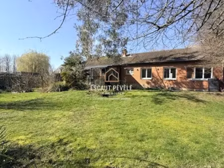 vente maison 7 pièces 136 m² à nivelle (59230)  337 000 €