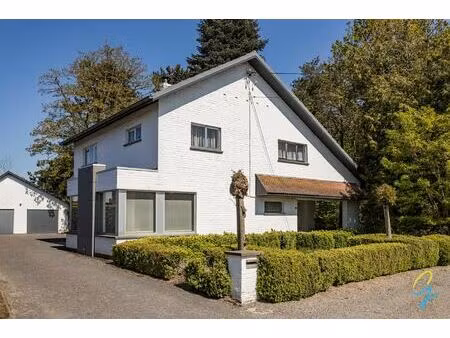 huis te koop in berlare met 4 slaapkamers