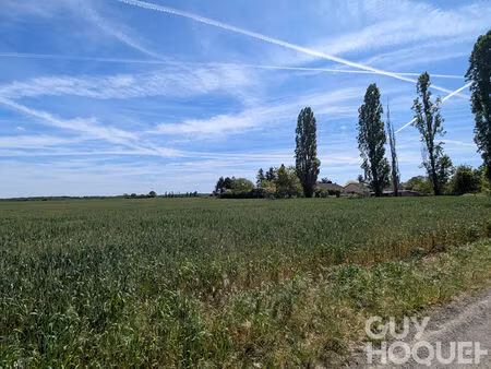 1232 m2 de calme  la tondeuse en option