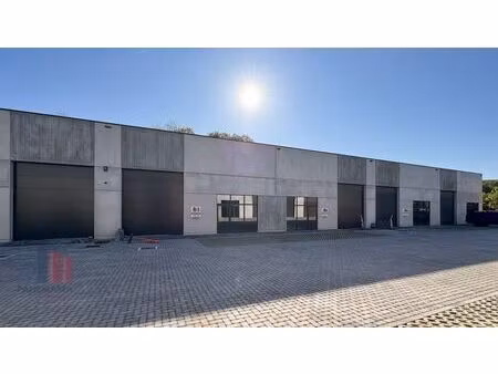 surface industrielle à louer à schaapschuur 6 affligem (rbv78235)