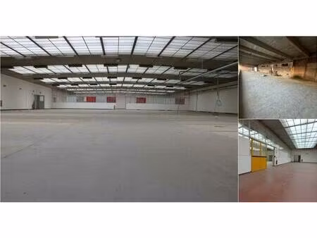 surface industrielle à louer à dellingstraat 31 malines (rbv78170)