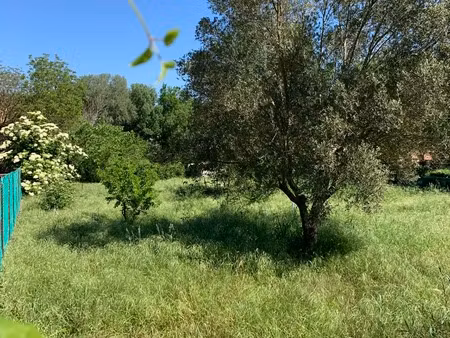 vente terrain à construire 1250 m² carcès (83570)