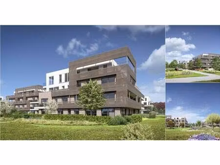 appartement à vendre à sportweg stabroek (rbv78018)