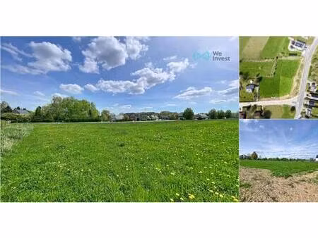 terrain à vendre à terre au baur cognelée (vbe15241)