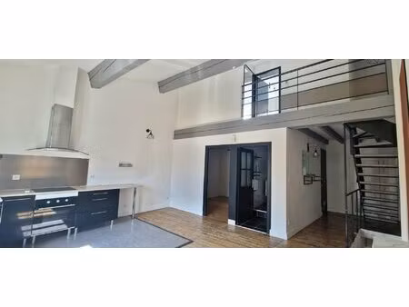 ille sur tet - exclusivite maison de village style loft grand garage