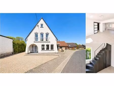 maison à louer à kattestraat 82 haaltert (rbv78196)