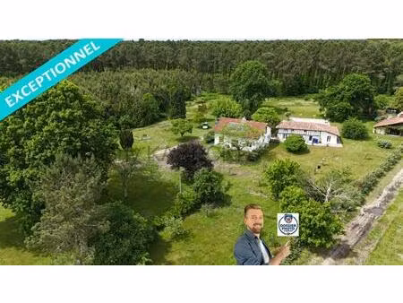 vente maison 12 pièces 330 m² taller (40260)