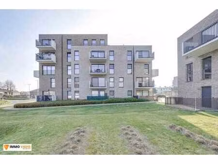 vente - studio tongeren-borgloon - 175 000 €