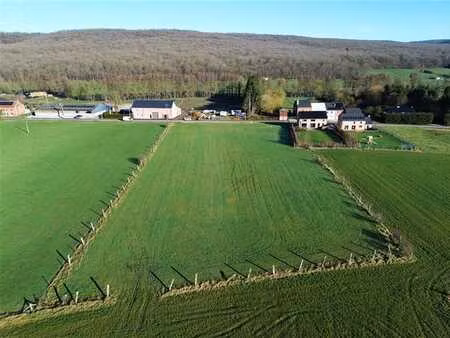 superbe terrain à bâtir avec pâture - plein sud