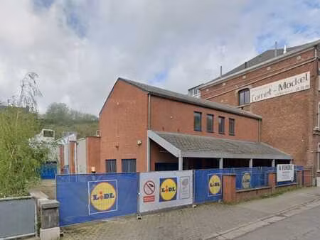 ancien magasin lidl de dison à vendre.
