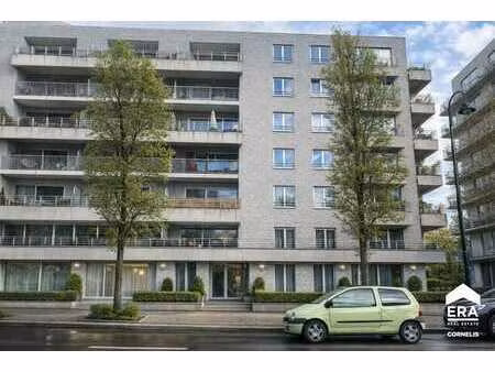 appartement - 1 chambre - terrasse