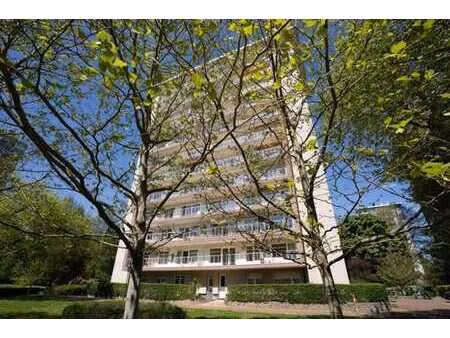 spacieux et lumineux appartement 1ch