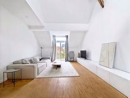 cinquantenaire - appartement meublé 1 chambre avec terrasse