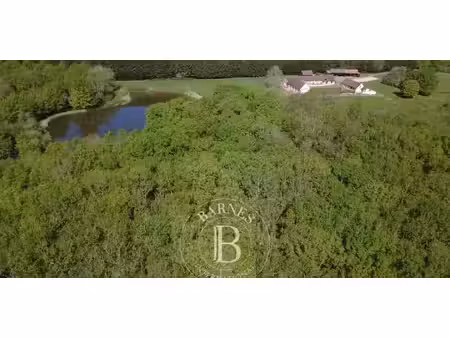 propriété avec jardin chaumont-sur-tharonne (41)