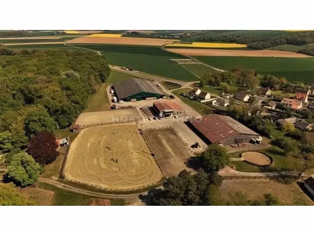 vente maison 9 pièces 240 m² à chantilly (60500)  2 500 000 €