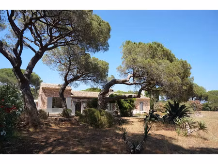 vente maison 7 pièces 280 m² à puget-sur-argens (83480)  1 990 000 €