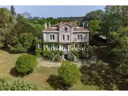 vente maison 11 pièces 550 m² à onesse-et-laharie (40110)  950 000 €