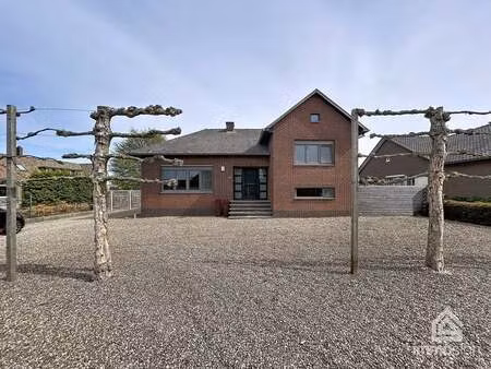 maison à vendre à bree € 368.000 (lnntp) - immosign+ | zimmo