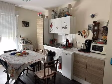 cabinet terrier