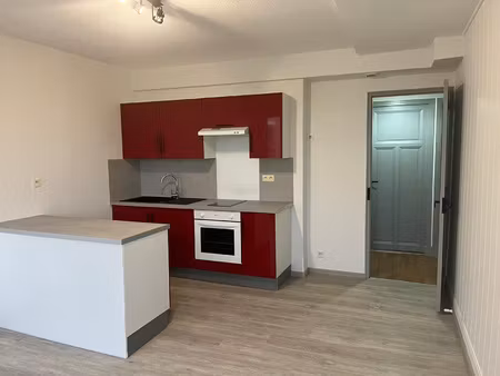 appartement puylaurens centre