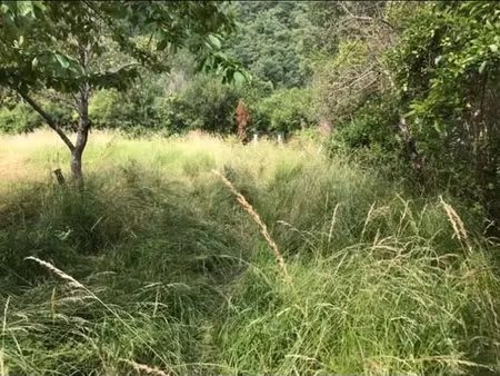 vente terrain à bâtir 777 m²