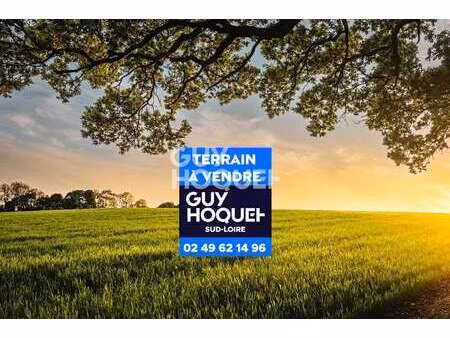 vente terrain à haute-goulaine (44115) : à vendre / 614m² haute-goulaine