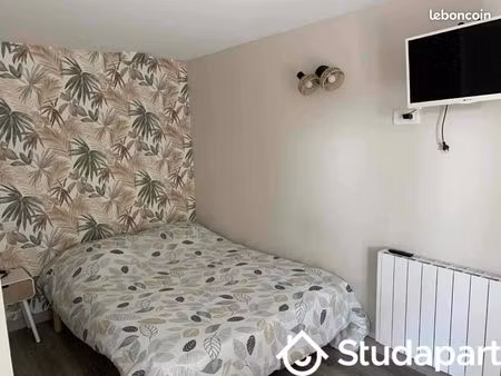 chambre 1 pièce 23 m²