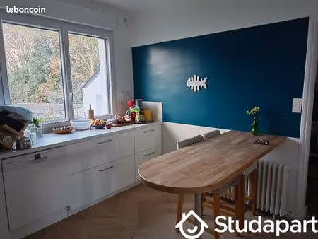 chambre 1 pièce 11 m²